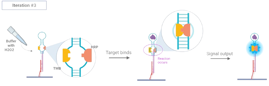 Figure 2: Aptazyme detection mechanism