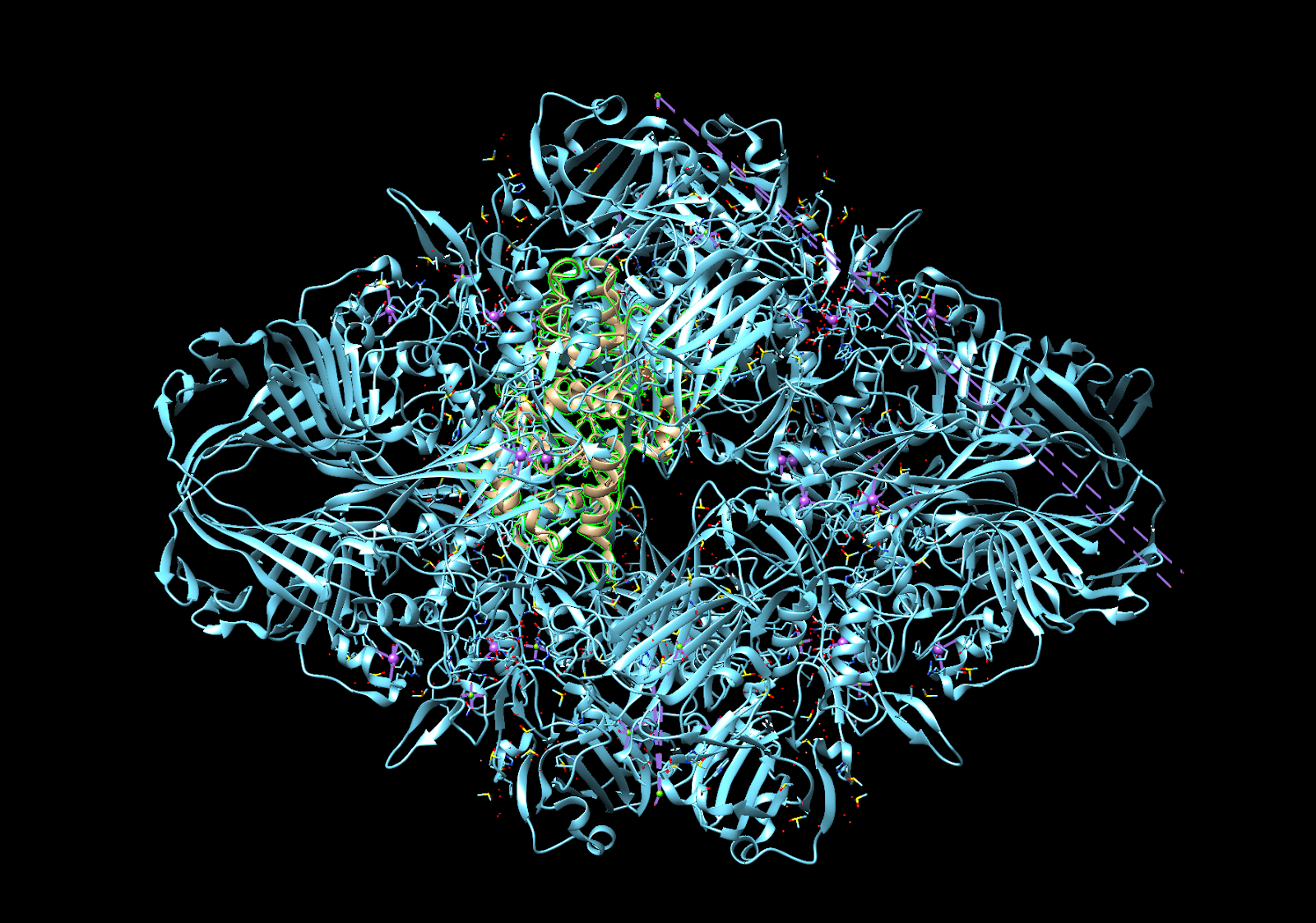 Figure 1: Beta-galactosidase vs HRP size