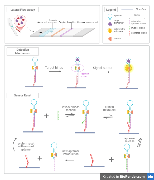 Figure 2: Detection Mechanism