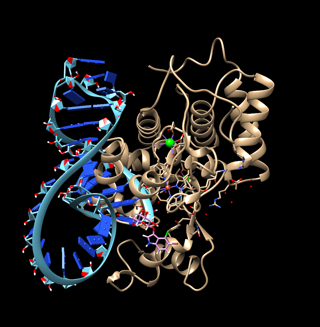 Figure 3: HRP vs Aptamer vs X-gal
