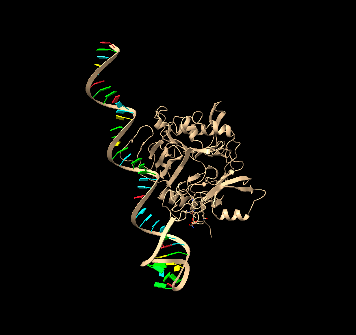 Figure 5: p-tau181 Docking
