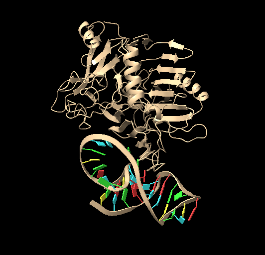 Figure 6: p-tau231 Docking